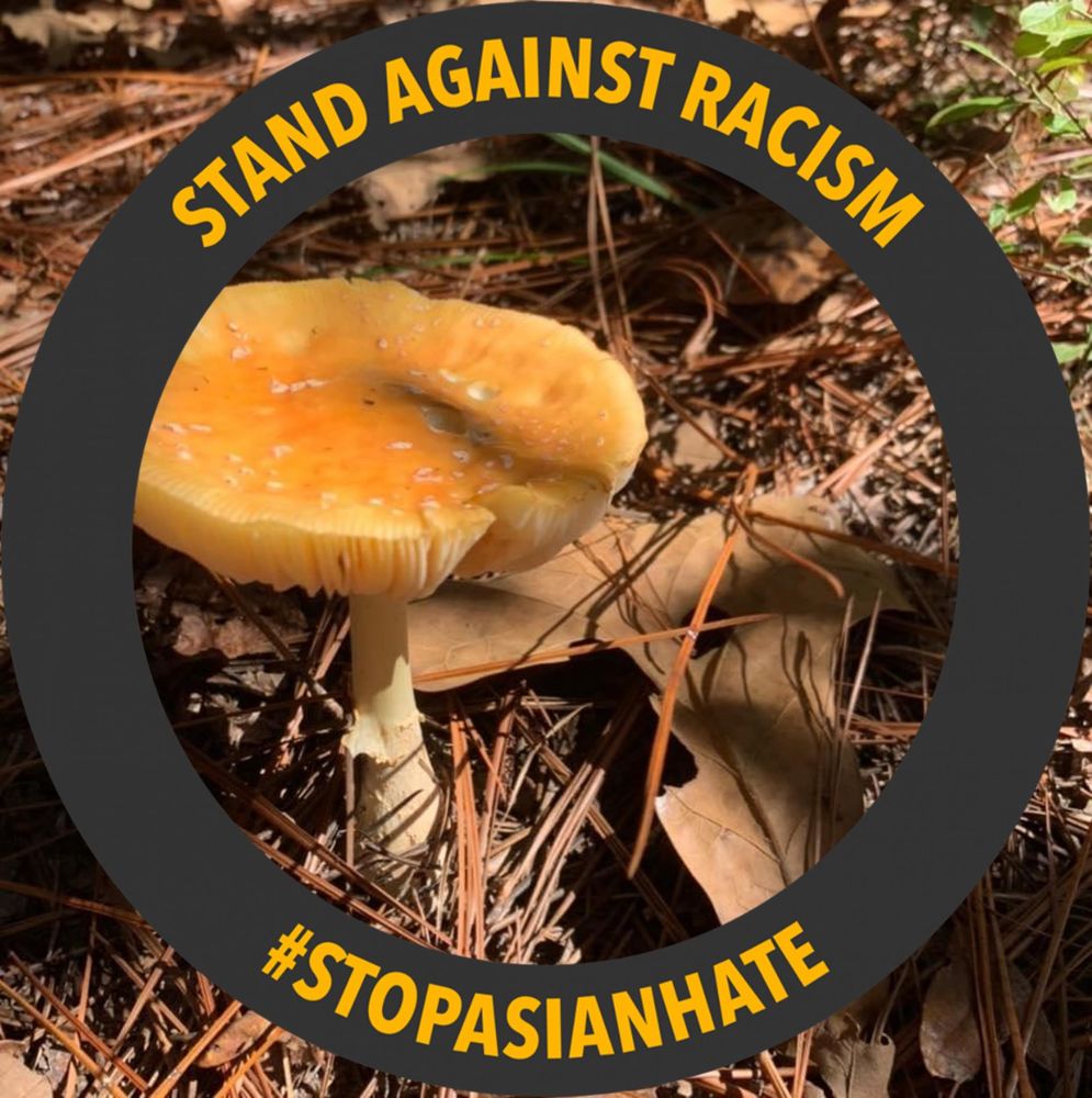 Meet your Posher, Annalise